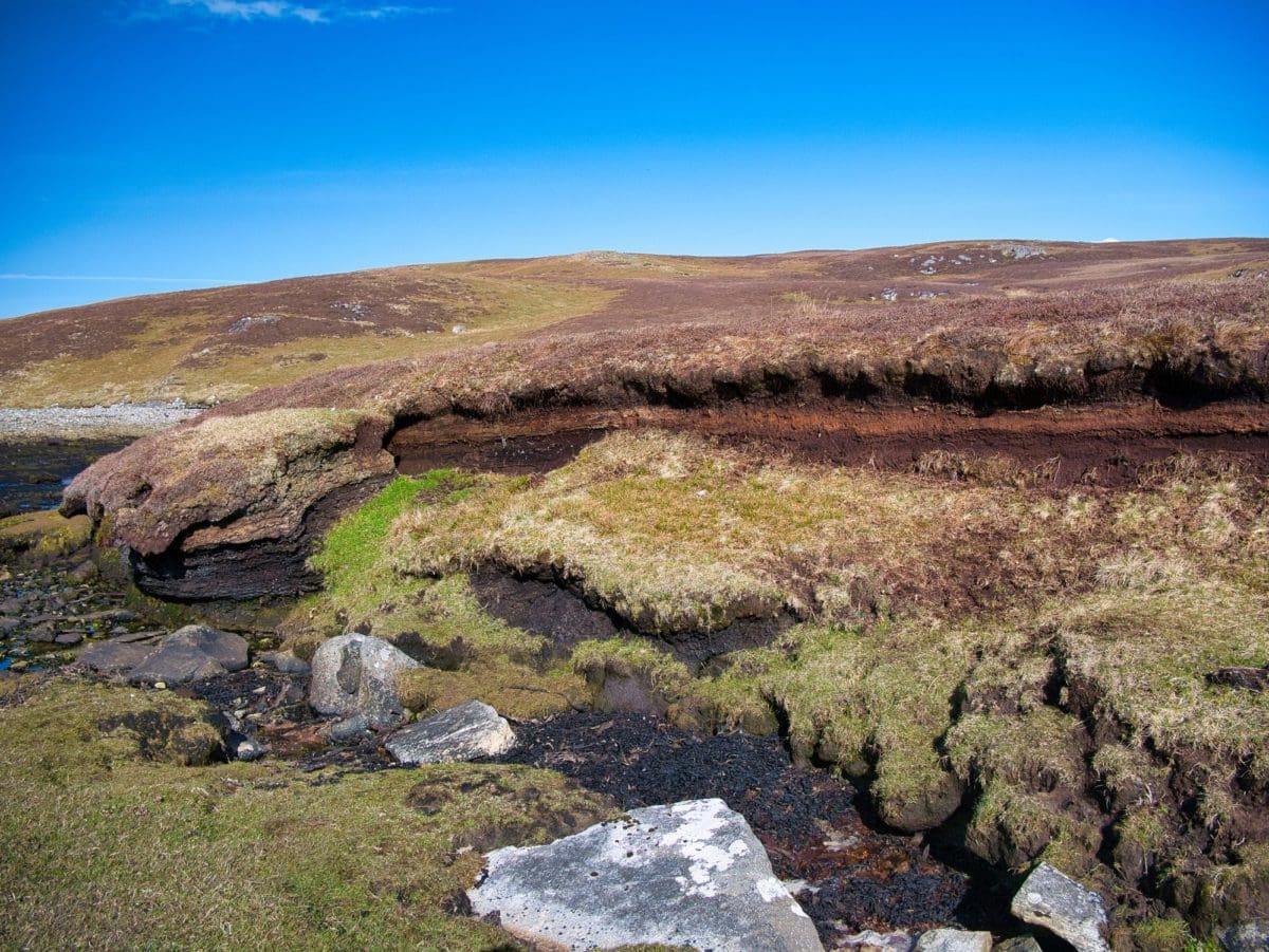 PEAT BAN FOR 2024 Kitchen Garden Magazine   IStock 13229936241 