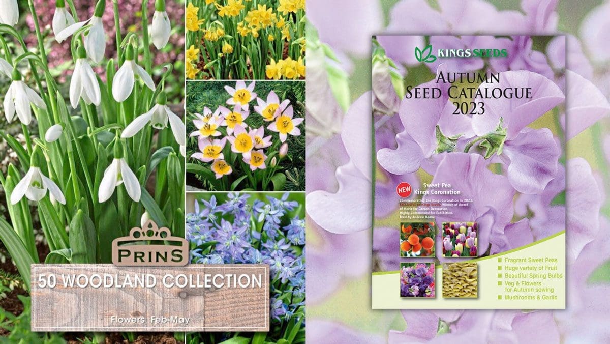 Kings Seeds Brand New Autumn Catalogue Kitchen Garden Magazine   Untitled Design 33 